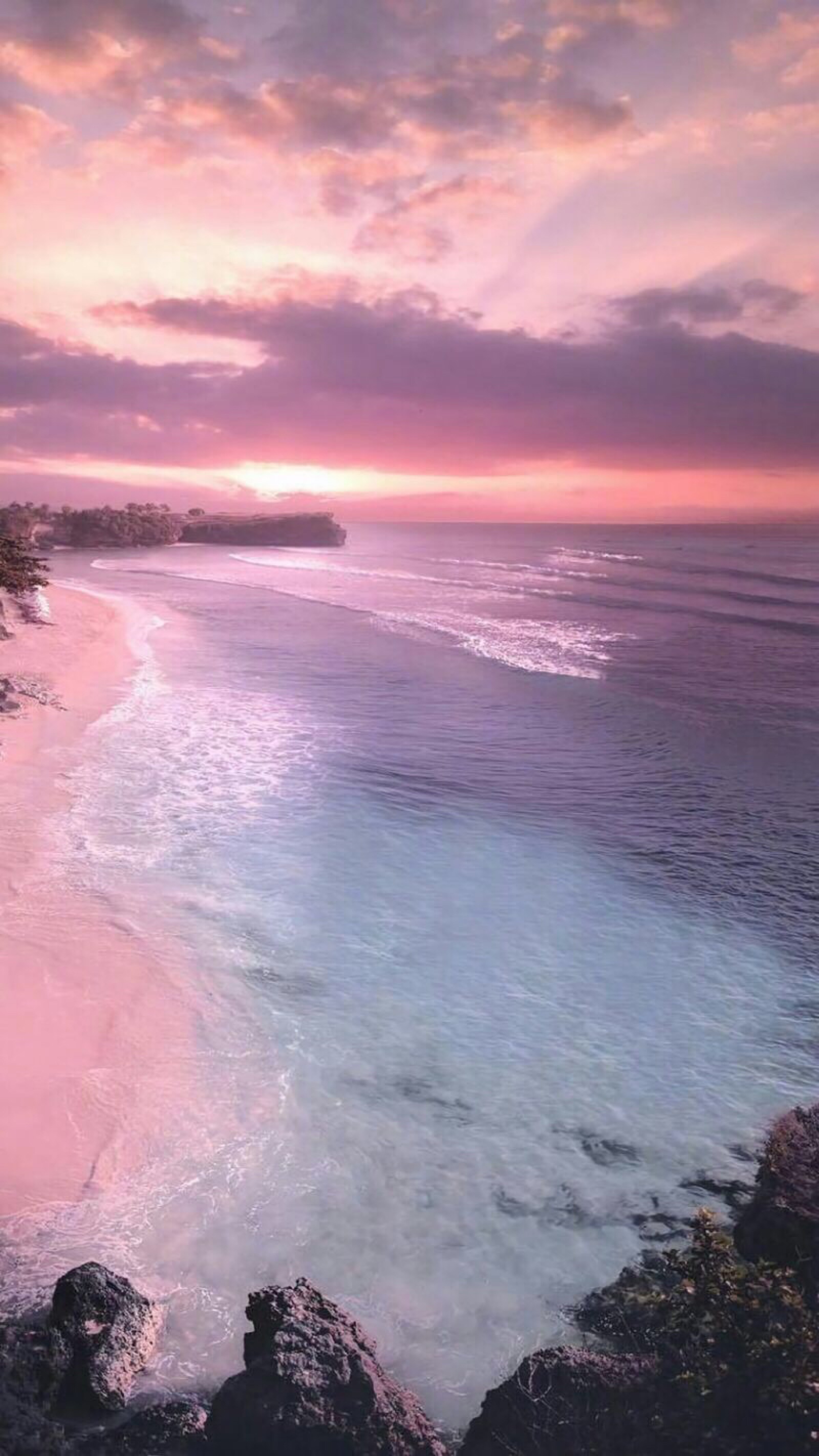 测试公司